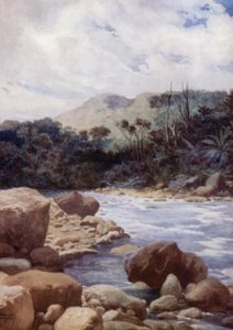 The Rapids, Williams River, Island of Eromanga, New Hebrides (farve litho) af Norman Hardy