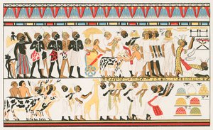 Hamitisk kunstværk: Wall inskriptioner i det gamle Egypten