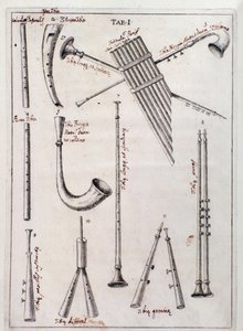 Wind instruments Page from “” de Tribus Generibus Instrumentorum Musicae Veterum ”” work about old instruments by Francesco Bianchinidani