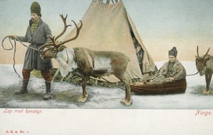 Laplandere med rensdyr, Norge (farvefoto) af Norwegian Photographer