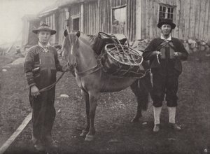 Saetersdalen Highlanders med Pack-Horse af Norwegian Photographer