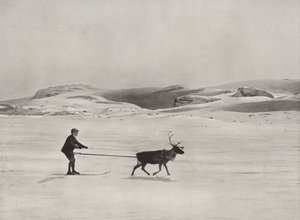 Ski-kørsel med rensdyr på bjergene af Norwegian Photographer
