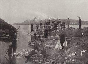Vask af Klip-fisk af Norwegian Photographer