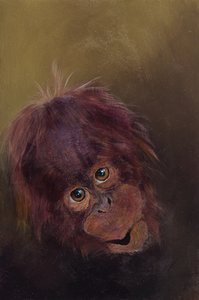 Baby orangutang 2, 2010 (akryl på træ) af Odile Kidd