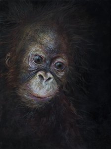 Baby orangutang 3, 2015 (akryl på træ)