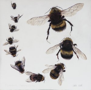 Bombus, 2015 (akryl på gessobehandlet træ)