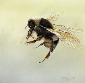 Bombus terrestris 4, 2011 (akryl på træ) af Odile Kidd