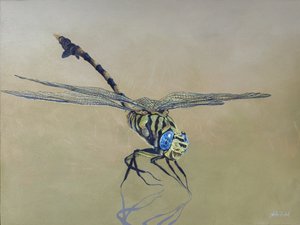 Dragon fly, 2009 (akryl på træ)