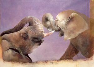 Elephants at Play, 2001 (akryl på lærred) af Odile Kidd