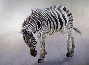 Equus burchelli 2, 2010 (akryl på lærred) af Odile Kidd