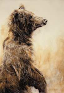 Grizzly Bear 2, 2002 (kulblyant, trækul og kridt) af Odile Kidd