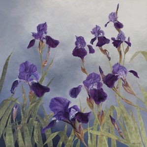 Iris hybrida, 2015 (akryl på gessobehandlet træ)