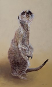 Meerkat 2, 2010 (akryl på træ)