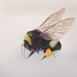 Pollen sac 2, 2011 (akryl på træ) af Odile Kidd