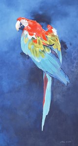 Red and Blue Macaw, 2002 (akryl på linned) af Odile Kidd