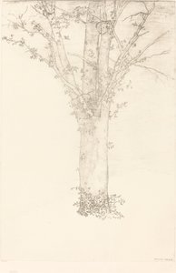 Træ af Odilon Redon