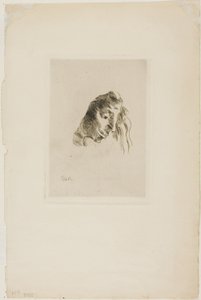 Fra bøger af Odilon Redon