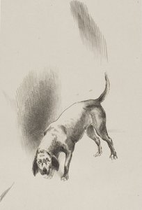 Han [fortællerens hund] holdt øjnene rettet mod mig med et så mærkeligt blik, plade 3 af 6 af Odilon Redon