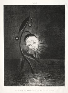 Hyldest til Goya: Marsh Flower, a Sad Human Head, 1885. af Odilon Redon