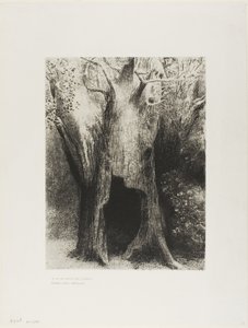 Jeg kastede mig ud i ensomhed. I Dwelt in the Tree behind Me, plade 9 af 24 af Odilon Redon