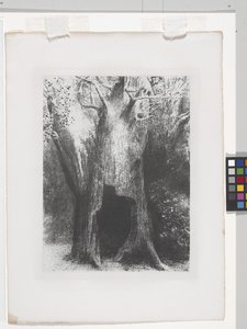 I Sunk Into Solitude (litografi på kinesisk applikationspapir) af Odilon Redon