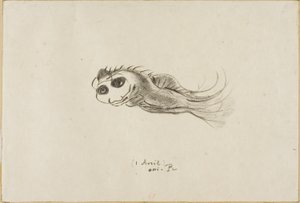 Menu for en middag for franske litografer, 1. april 1887 af Odilon Redon