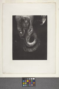 Oannès: "I, The First Consciousness Of Chaos..." (litografi på kinesisk applikationspapir) af Odilon Redon