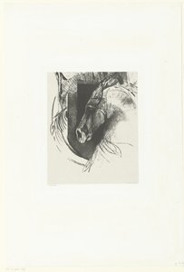 kamp ros Le Courcier (titel på objekt) af Odilon Redon