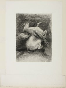 Den impotente vinge løftede ikke dyret ind i det sorte rum, plade 7 af 8 fra "Les Origines" af Odilon Redon