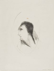 Bredden og fladheden af [den] frontale [knogle], plade 6 af 6 af Odilon Redon