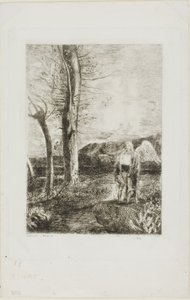 Tobias af Odilon Redon