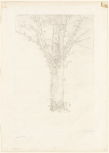 Træ af Odilon Redon
