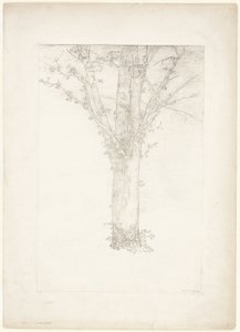 Træ af Odilon Redon