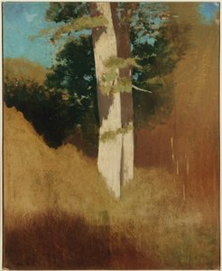 Træ med blå himmel af Odilon Redon