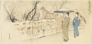 Garyo_bai Plum in Kameido, December 1895 af Ogata Gekko