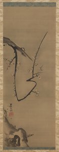Prunus, hængende rulle, ca. 1700 (blæk på silke) af Ogata Korin