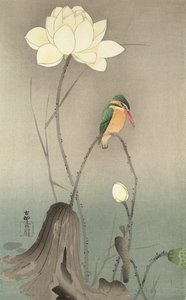 En isfugl og en lotus, ca. 1910,