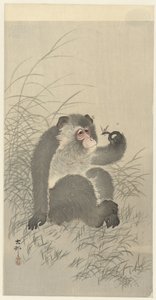 du mødte insekt af Ohara Koson