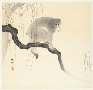 Abe på trægren af Ohara Koson