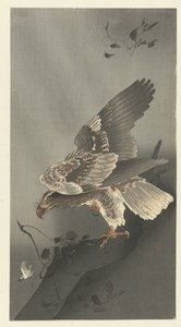 Ørnen lurer efter bytte af Ohara Koson