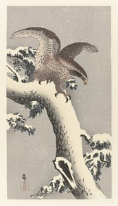Ørn på snedækket fyrretræ af Ohara Koson