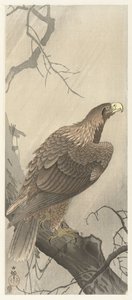 Ørn på trægren af Ohara Koson