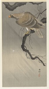 ørn på gren af Ohara Koson