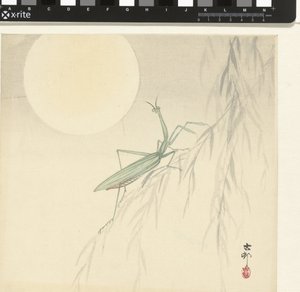 Knælere af Ohara Koson