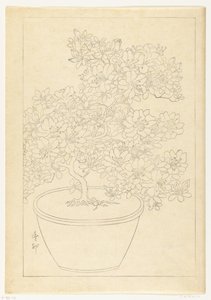 Blomstrende azalea i potte af Ohara Koson