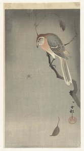 Bøffelhovedet tobbe og edderkop af Ohara Koson