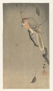Bøffelhovedet tobbe og edderkop af Ohara Koson