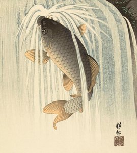 Karper under et vandfald af den japanske kunstner Ohara Koson af Ohara Koson