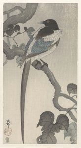 Magpie på trægren af Ohara Koson