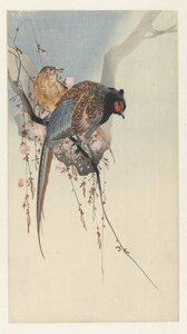 Fasanpar og blommeblomst af Ohara Koson